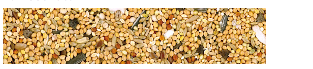 Mangime per parrocchetti Manitoba 1Kg