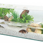 Tartarughiera Acqua Karapas 100cm - 120L