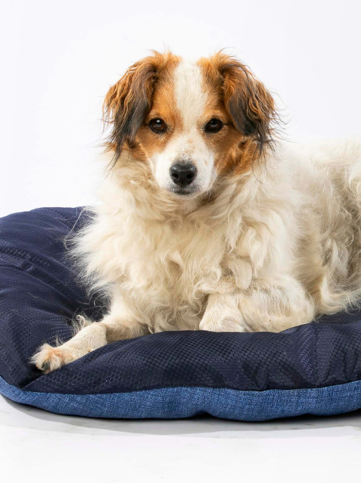 Cuscino ovale Floconne