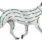 Collare Antiparassitario Seresto per cani oltre 8Kg